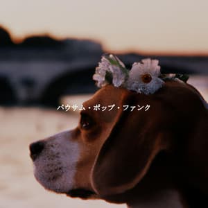 パウサム・ポップ・ファンク - Música Chill para Cafe