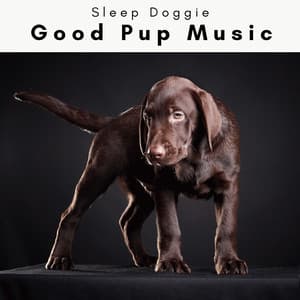 1 Good Pup Music - Sleep Doggie
