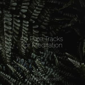 50 Pure Tracks for Meditation - Música para Relajarse Profundamente