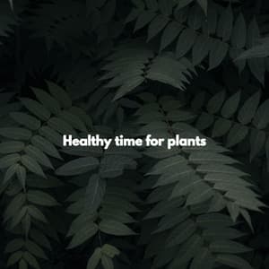 Healthy time for plants - Jazz Piano Bar