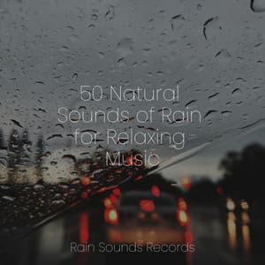 50 Natural Sounds of Rain for Relaxing Music - White Noise Therapy
