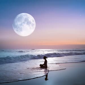 Música Serena Para Una Meditación Tranquila Y Concentrada - Paz estática