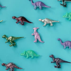 Resilient Symphony of Victory - Arctic Comfort