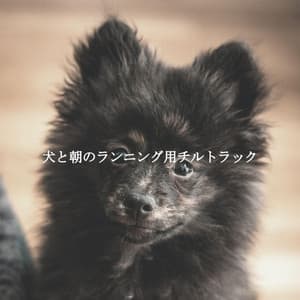 犬と朝のランニング用チルトラック - Happy Cooking Music
