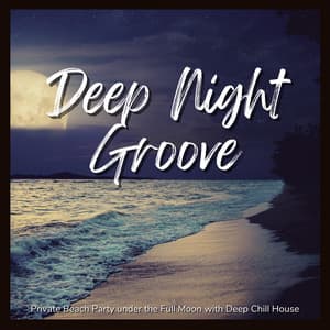 Deep Night Groove - Private Beach Party under the Full Moon with Deep Chill House - Café Lounge Resort