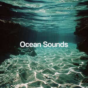 Ocean Sounds - Relajacion Del Mar