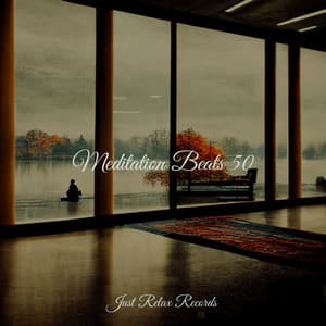 Meditation Beats 50 - Música ambiental relajante