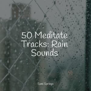 50 Meditate Tracks: Rain Sounds - Rain
