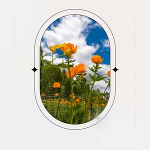 Ambiance for Lazy Days - Ristorante Jazz Playlist