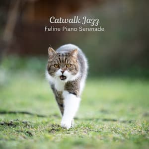 Catwalk Jazz: Feline Piano Serenade - Jazz In The Kitchen