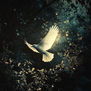 * Birds Sounds for Mind Easing and Clearing Confusions * - Calm Singing Birds Zone