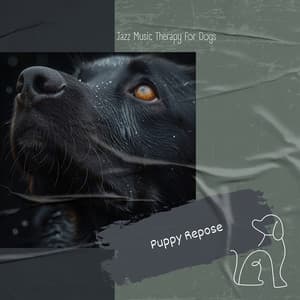 Puppy Repose: Jazz Ballads for Blissful Naps - Jazz Music Therapy for Dogs