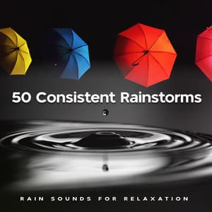 50 Consistent Rainstorms - Rain Sounds for Relaxation