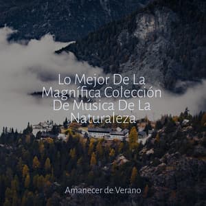 Lo Mejor De La Magnífica Colección De Música De La Naturaleza - Sleep Baby Sleep