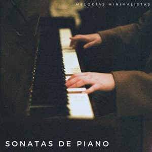 Sonatas De Piano: Melodías Minimalistas - Musica Relajante De Piano Clásica