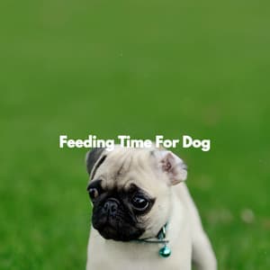 Feeding Time For Dog - Musica para Concentrarse Curacion