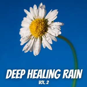 Deep Healing Rain Vol. 2 - Soothing Nature Sound
