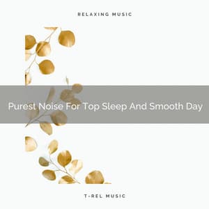 Purest Noise For Top Sleep And Smooth Day - Chill Relajente