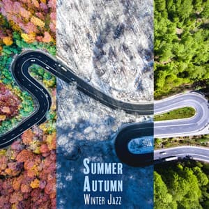 Summer, Autumn, Winter Jazz: Relax throughout the Year - Jazz Instrumentals