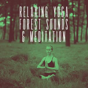 Relaxing Yoga Forest Sounds & Meditation - Study Focus