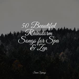 50 Beautiful Rainstorm Songs for Spa & Zen - Relaxing Rain Sounds