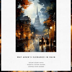 Wat Arun's Elegance in Rain - Nature Sound Series