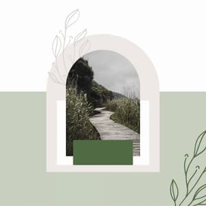 Quiet - Relax Music Therapy - Massage Spa Playlist