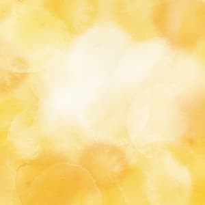 Music for Bedroom Unwinding - Select Relaxing Bossa Nova