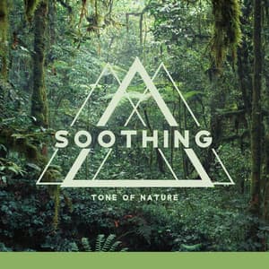 Soothing Tone of Nature: Calming Down, Hear the Nature, Sounds of World - Natural Healing Music Zone