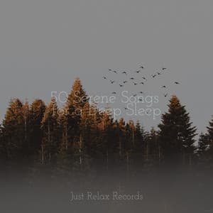 50 Serene Songs for a Deep Sleep - Meditación Guiada