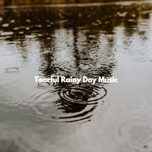 Tearful Rainy Day Music - Late Night Jazz Bar