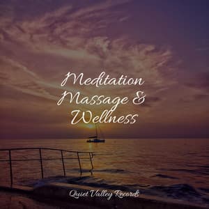 Meditation Massage & Wellness - Easy Sleep Music
