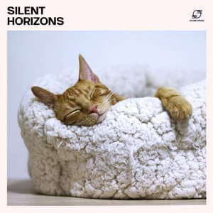 Silent Horizons - The Deep Sleep Music Academy