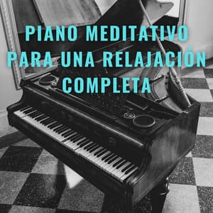 Melodías De Bienestar: Piano Meditativo Para Una Relajación Completa - Piano Jazz Lujo