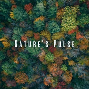 Nature's Pulse: Chill Sounds for High Concentration - Stereo Outdoor Sampling
