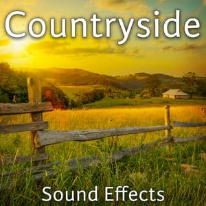 Countryside Sound Effects - Sound Ideas