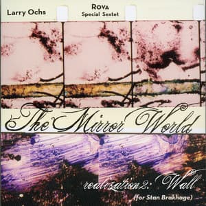 The Mirror World - Larry Ochs