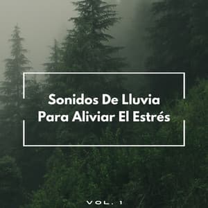 Sonidos De Lluvia Para Aliviar El Estrés Vol. 1 - Frutas de lluvia