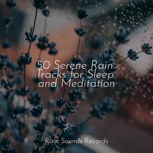 50 Serene Rain Tracks for Sleep and Meditation - Yoga Music