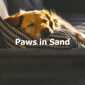 Paws in Sand - Music for Pets Library