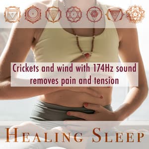 Crickets and wind with 174Hz sound removes pain and tension - Healing Sleep