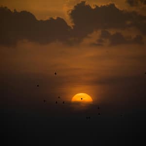 30 Day Refresh: Finding Meaning - Relaxing Music Therapy