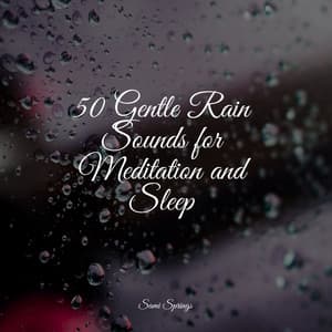 50 Gentle Rain Sounds for Meditation and Sleep - The Sleep Specialist