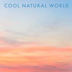 Cool Natural World - Meditation Relaxation Club