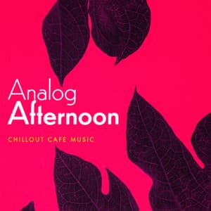 Analog Afternoon - Chillout Cafe Music