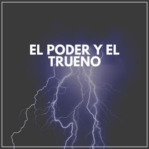 El Poder y el Trueno - Mascotas tranquilas
