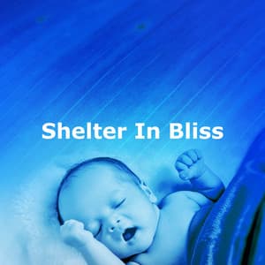 Shelter In Bliss - Sleeping Culture
