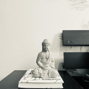 1 Night: Peaceful White Noise - White Noise