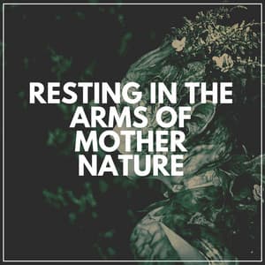 Resting in the Arms of Mother Nature - Swedish Forest Birds