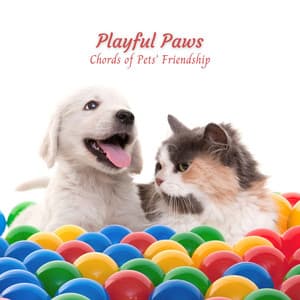 Playful Paws: Chords of Pets' Friendship - Relaxing Piano Music Consort